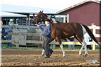 4H-3rd-Show-2004-0061.jpg