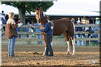 4H-3rd-Show-2004-0063.jpg