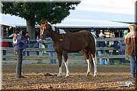 4H-3rd-Show-2004-0064.jpg