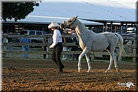 4H-3rd-Show-2004-0077.jpg