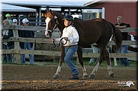 4H-3rd-Show-2004-0102.jpg