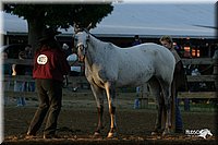 4H-3rd-Show-2004-0106.jpg