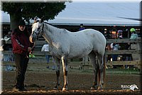 4H-3rd-Show-2004-0107.jpg