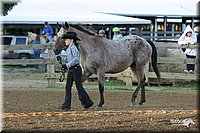 4H-3rd-Show-2004-0110.jpg