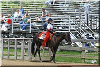 4H-3rd-Show-2004-0791.jpg