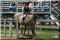 4H-3rd-Show-2004-0841.jpg