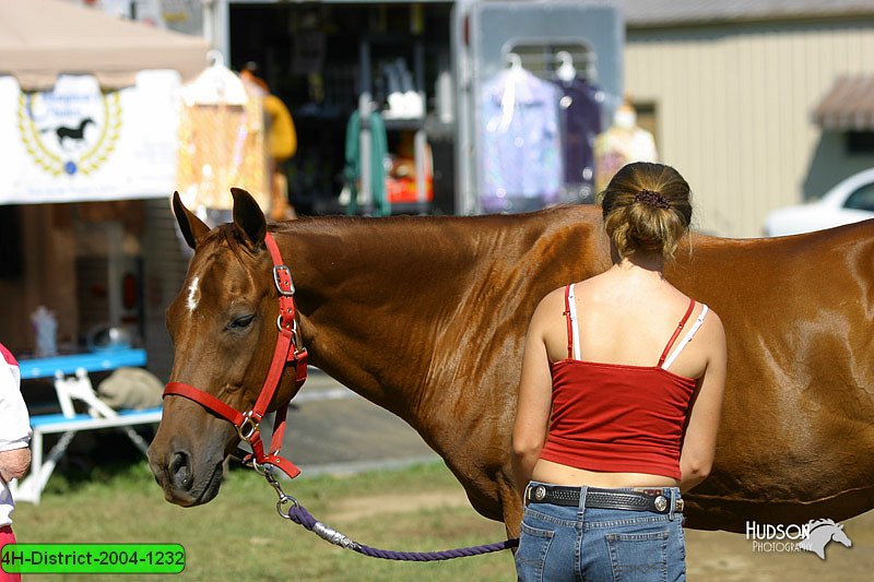 4H-District-2004-1232.jpg