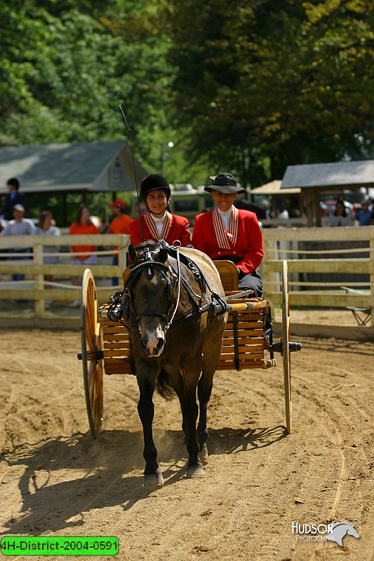 4H-District-2004-0591.jpg