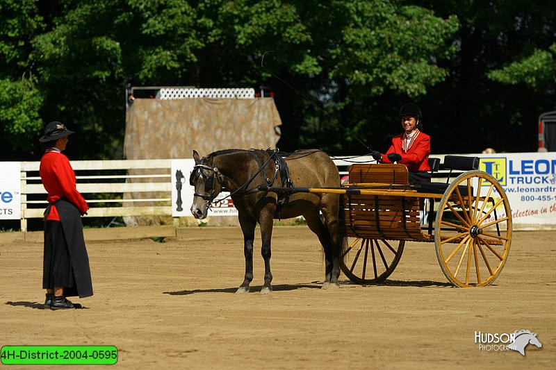 4H-District-2004-0595.jpg