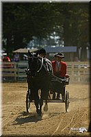 4H-District-2004-0560.jpg