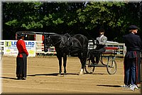 4H-District-2004-0568.jpg