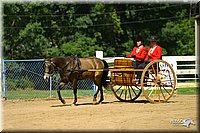 4H-District-2004-0579.jpg