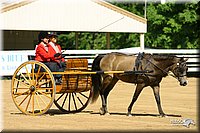 4H-District-2004-0584.jpg