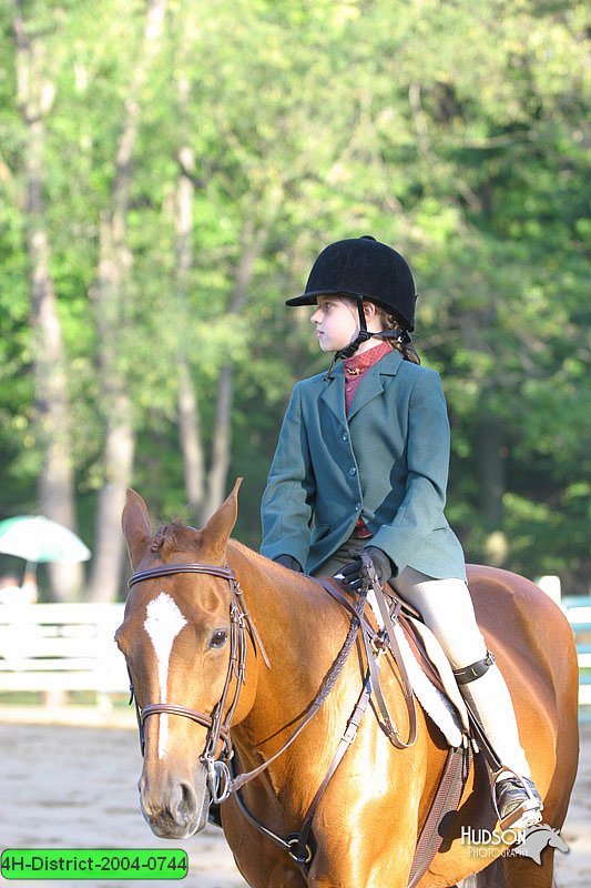 4H-District-2004-0744.jpg