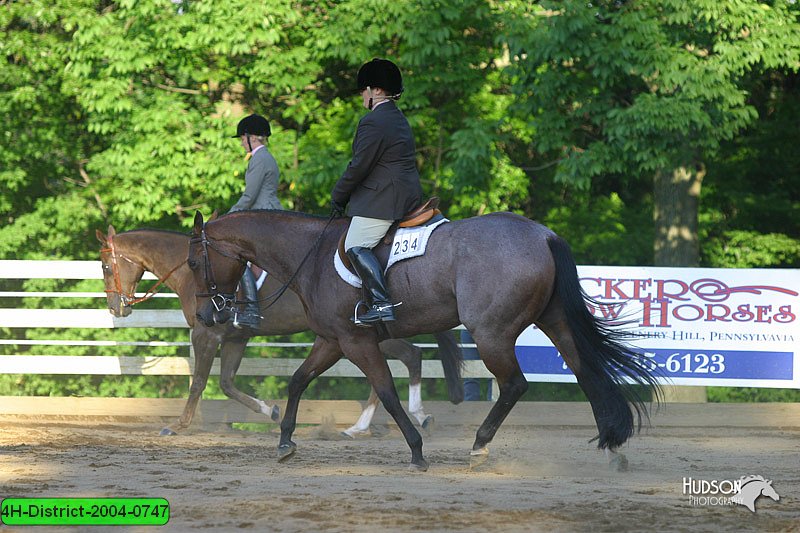 4H-District-2004-0747.jpg