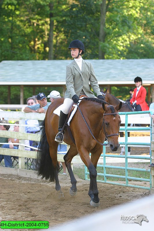 4H-District-2004-0755.jpg