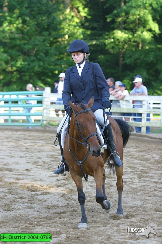 4H-District-2004-0769.jpg
