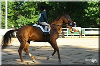 4H-District-2004-0685.jpg