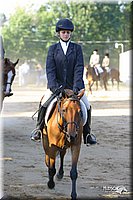 4H-District-2004-0726.jpg