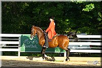 4H-District-2004-0731.jpg