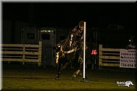 4H-District-2004-0109-2.jpg