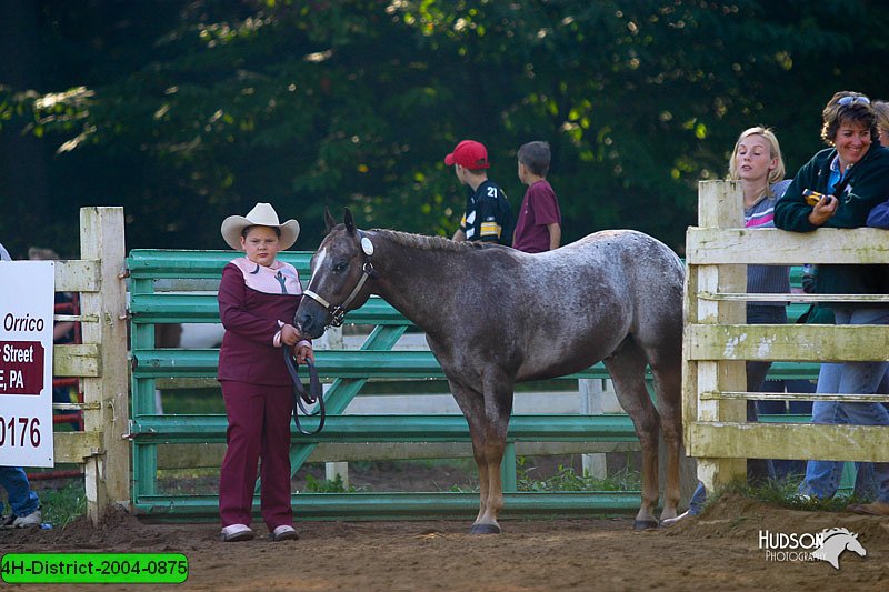 4H-District-2004-0875.jpg