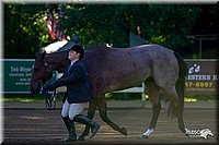 4H-District-2004-0318.jpg