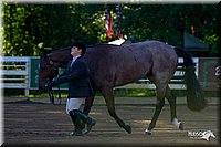 4H-District-2004-0319.jpg