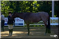 4H-District-2004-0323.jpg