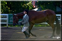 4H-District-2004-0328.jpg