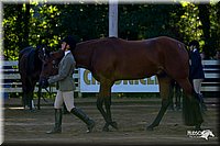 4H-District-2004-0331.jpg