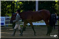 4H-District-2004-0332.jpg