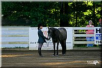 4H-District-2004-0333.jpg