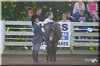 4H-District-2004-0338.jpg