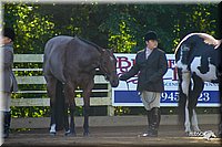 4H-District-2004-0342.jpg