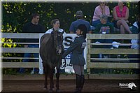 4H-District-2004-0343.jpg