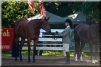 4H-District-2004-0345.jpg