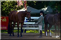 4H-District-2004-0347.jpg