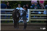 4H-District-2004-0348.jpg