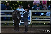 4H-District-2004-0349.jpg