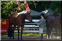 4H-District-2004-0352.jpg