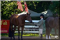 4H-District-2004-0353.jpg