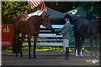 4H-District-2004-0355.jpg