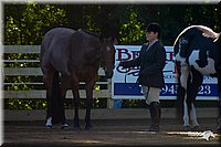 4H-District-2004-0359.jpg