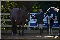 4H-District-2004-0360.jpg