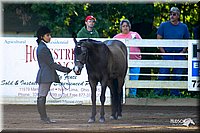 4H-District-2004-0363.jpg