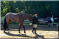 4H-District-2004-0366.jpg