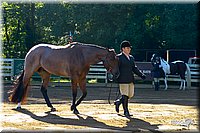 4H-District-2004-0367.jpg