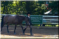 4H-District-2004-0372.jpg