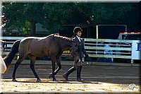 4H-District-2004-0373.jpg